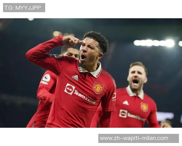 曼联已决议必买安德森,夏窗需8000万!戈麦斯赞同冬天加盟却受阻 曼联已决议必买安德森,夏窗需8000万!戈麦斯赞同冬天加盟却受阻